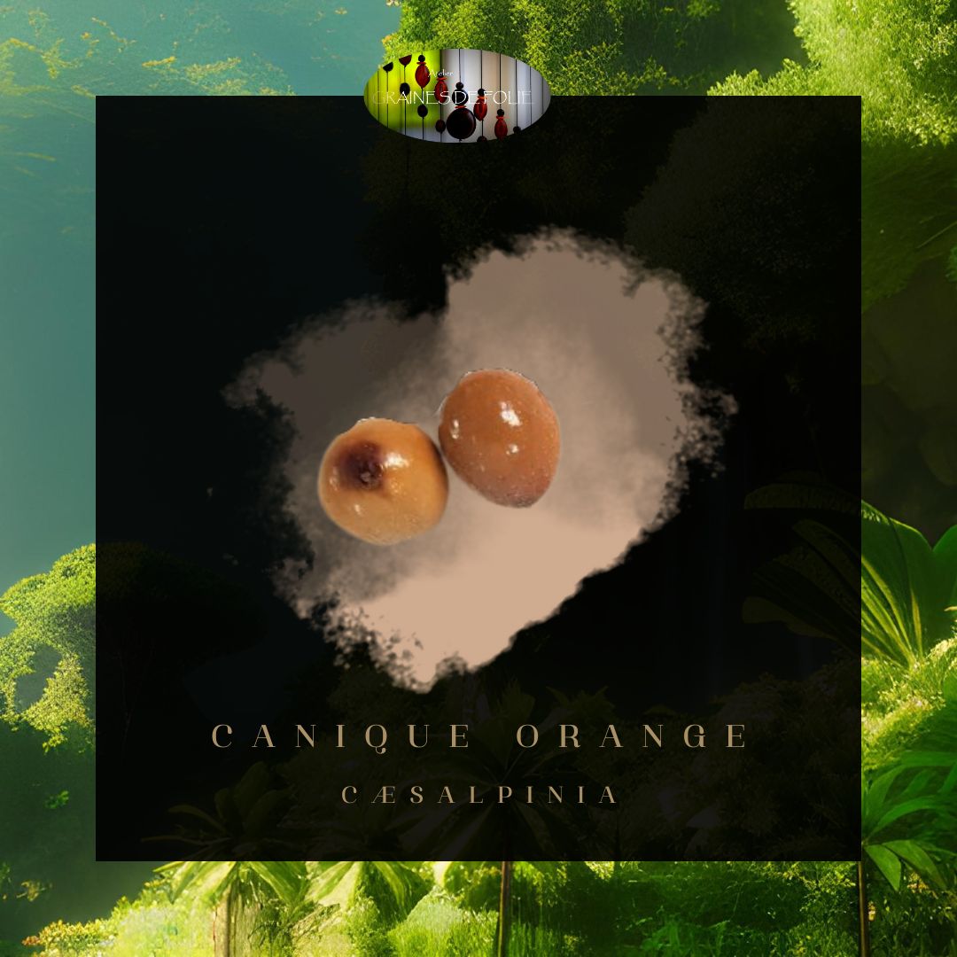 Canique orange