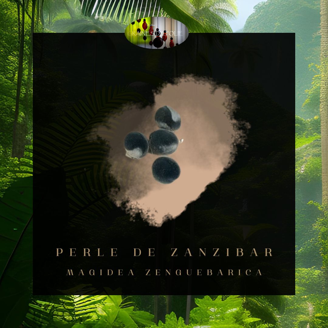 Perles de Zanzibar