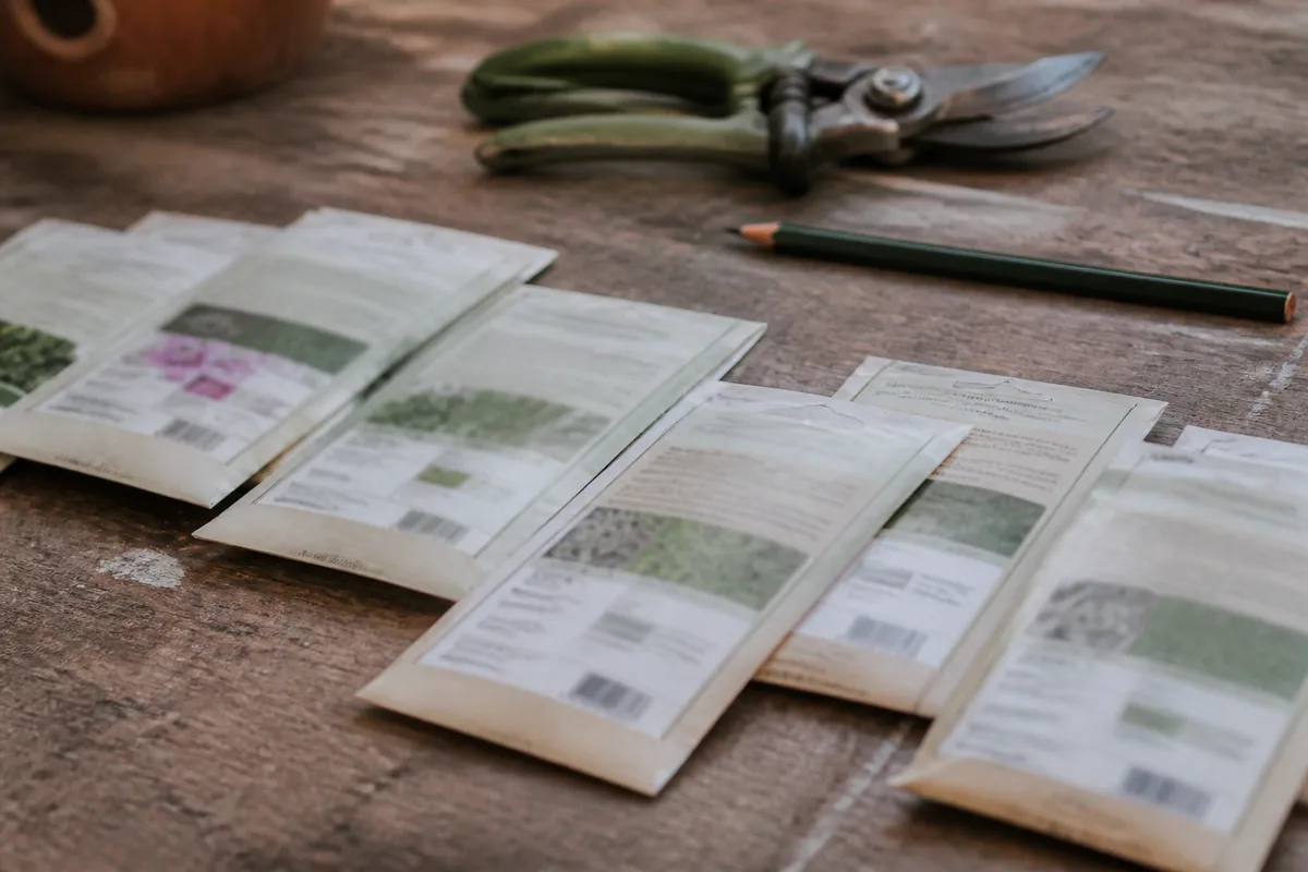 Sachets de graines potagères posés sur un établi en bois, étiquettes détaillées visibles